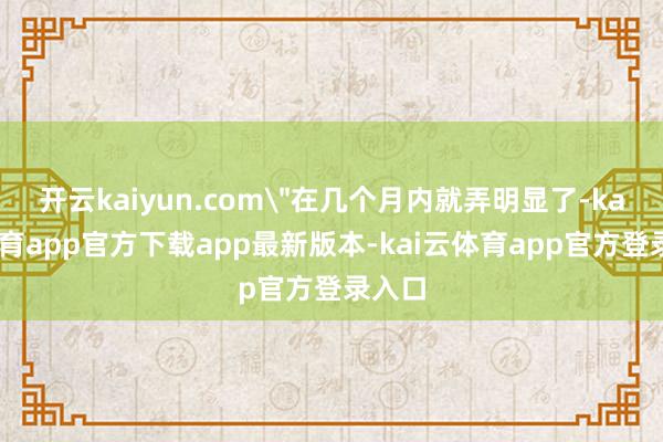 开云kaiyun.com