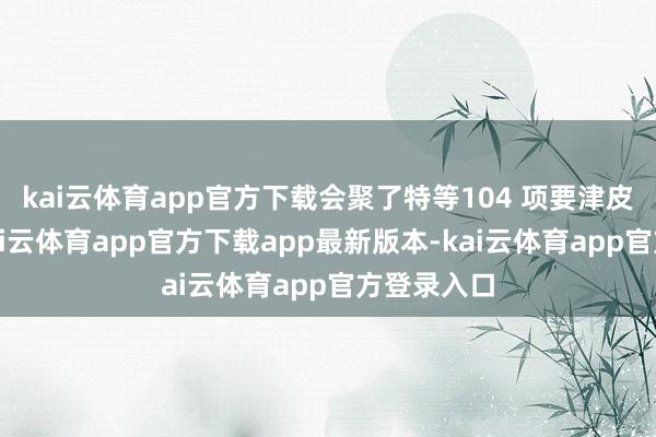 kai云体育app官方下载会聚了特等104 项要津皮肤参数-