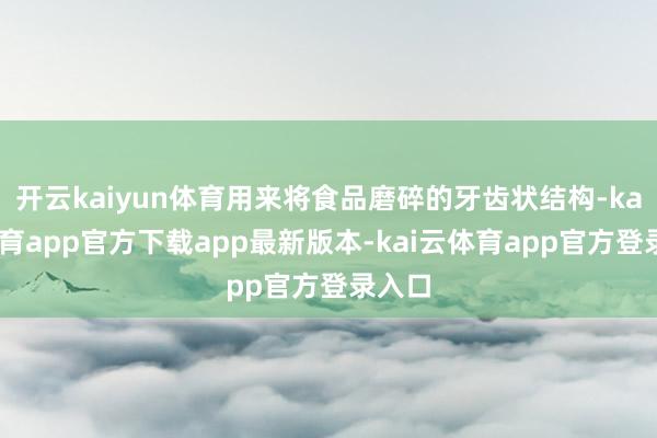 开云kaiyun体育用来将食品磨碎的牙齿状结构-kai云体育