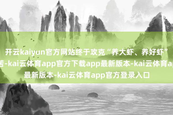 开云kaiyun官方网站终于攻克“养大虾、养好虾”“四季有虾”坚苦-kai云体育app官方下载app最新版本-kai云体育app官方登录入口
